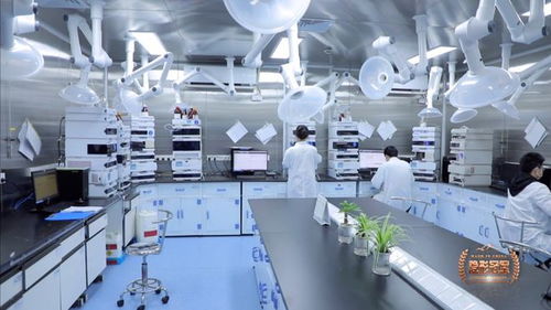 六元環(huán)三劍客 二十年死磕分子砌塊，讓中國(guó)技術(shù)嵌入全球藥脈